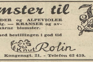 Bilde av Knut Rolin